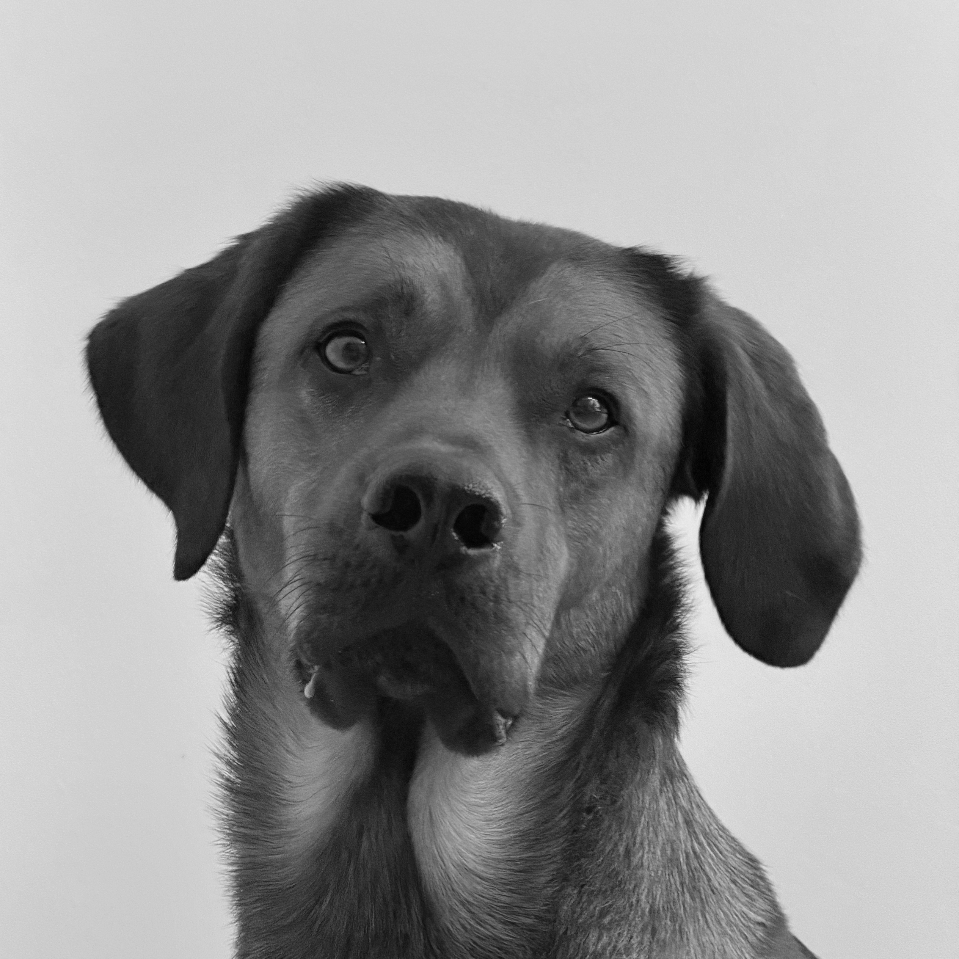 Monty